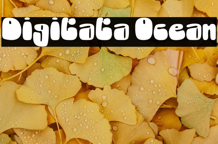 Digitata Ocean Example 1