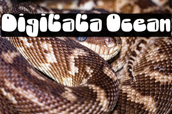 Digitata Ocean Example 2