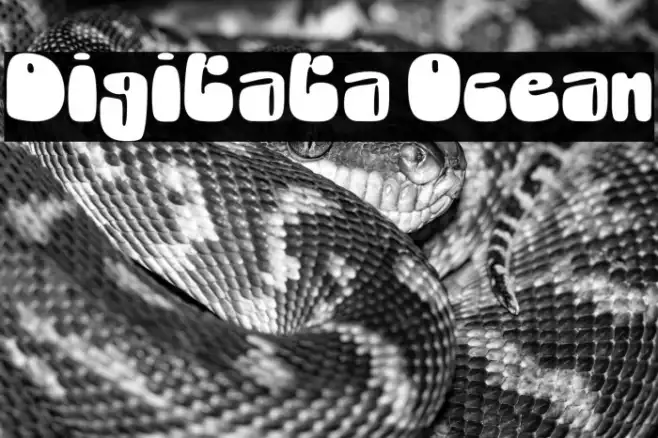 Digitata Ocean Example 2
