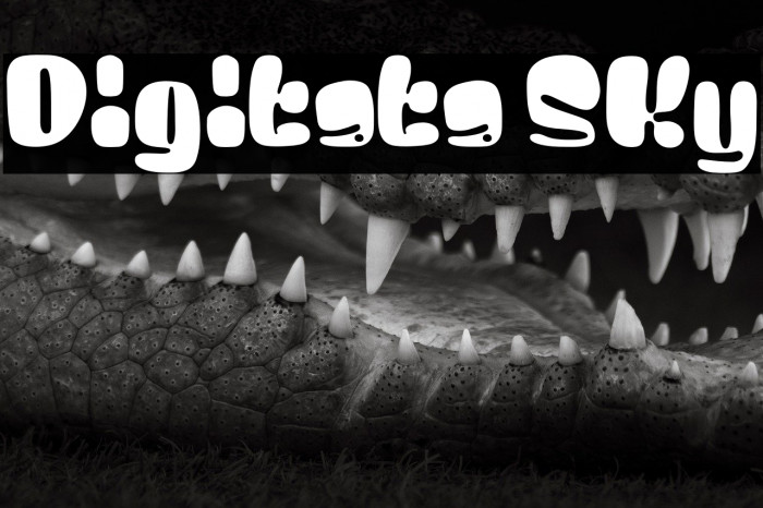 Digitata Sky Example 2