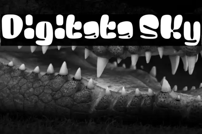 Digitata Sky Example 2