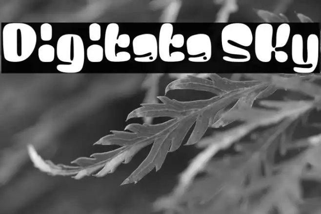 Digitata Sky Example 3