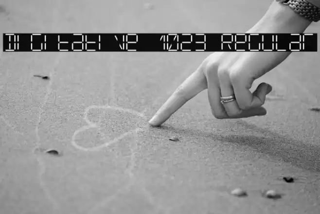 Digitative 1023 Regular Schriftart examples