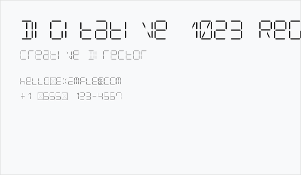 Digitative 1023 Regular Business Card