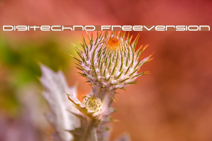 Digitechno FreeVersion Polices examples