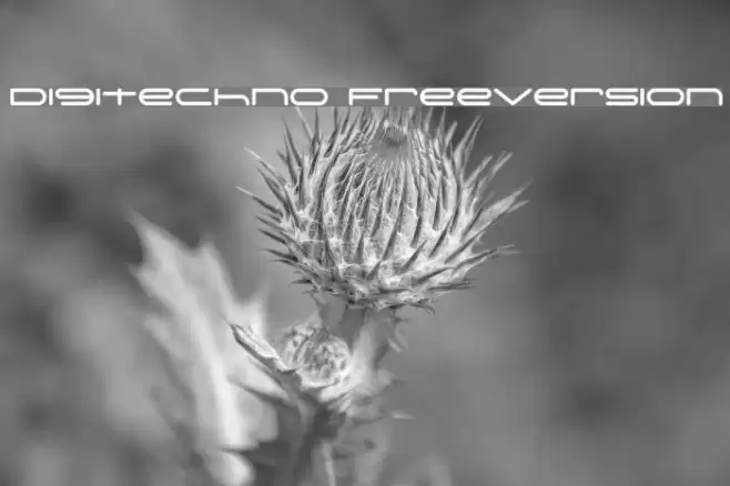 Digitechno FreeVersion Font examples