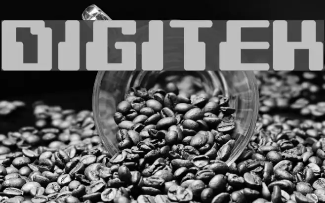 Digitek Example 1