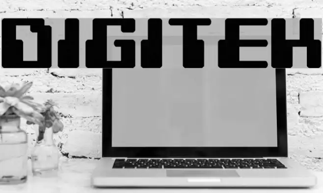 Digitek Example 2