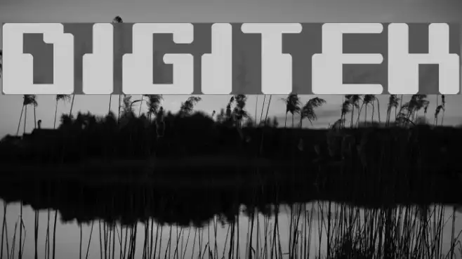 Digitek Example 3