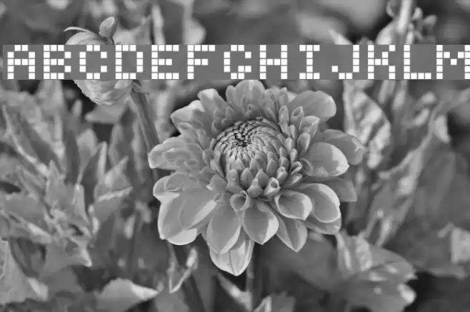 Digitol Font examples