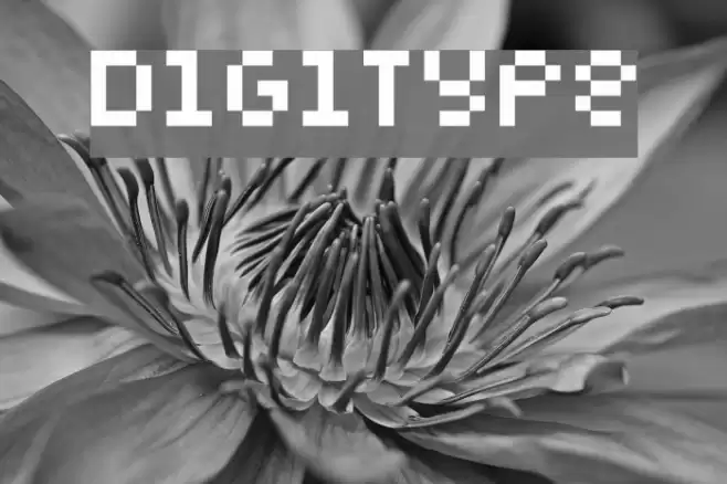 Digitype Font examples
