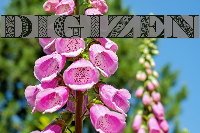 Digizen Font examples