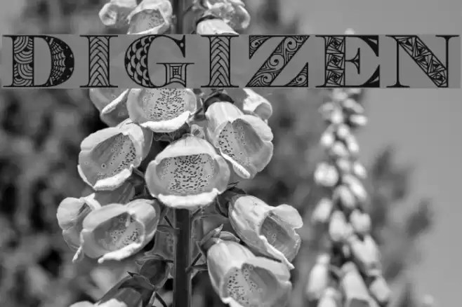 Digizen Шрифта examples
