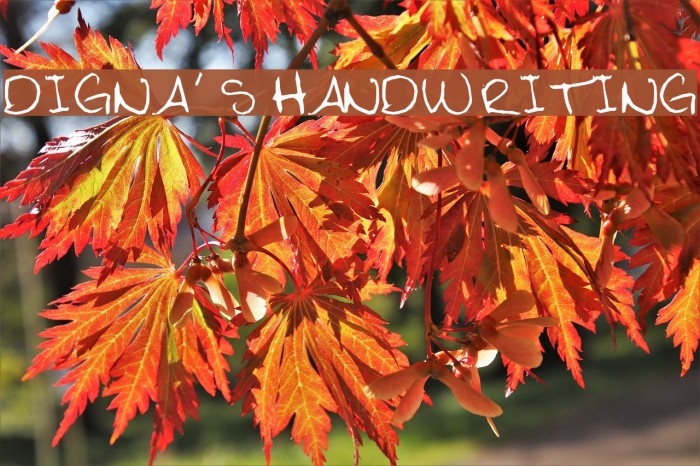 Digna's Handwriting Example 2