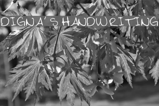 Digna's Handwriting Font examples