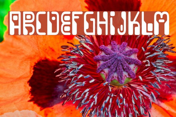 Dignity Of Labour Font examples