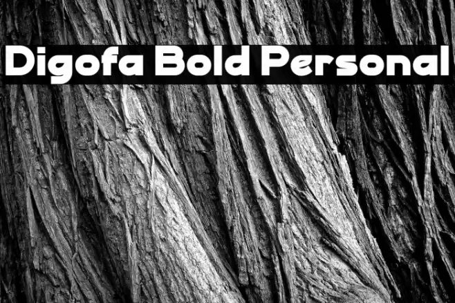 Digofa Bold Personal Font examples