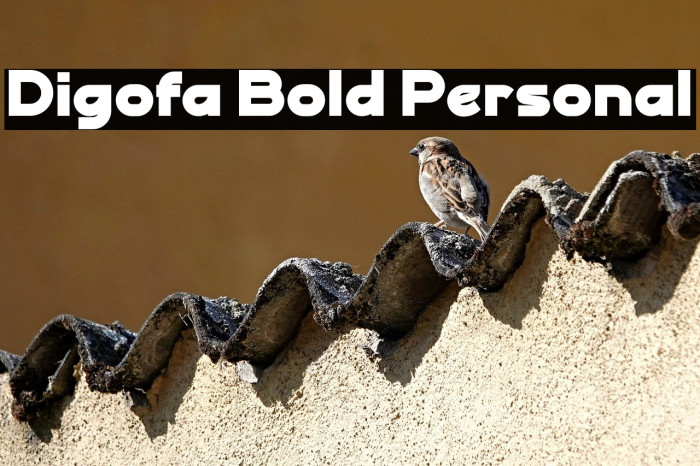 Digofa Bold Personal Example 2