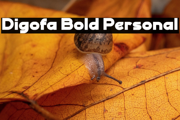 Digofa Bold Personal Example 3
