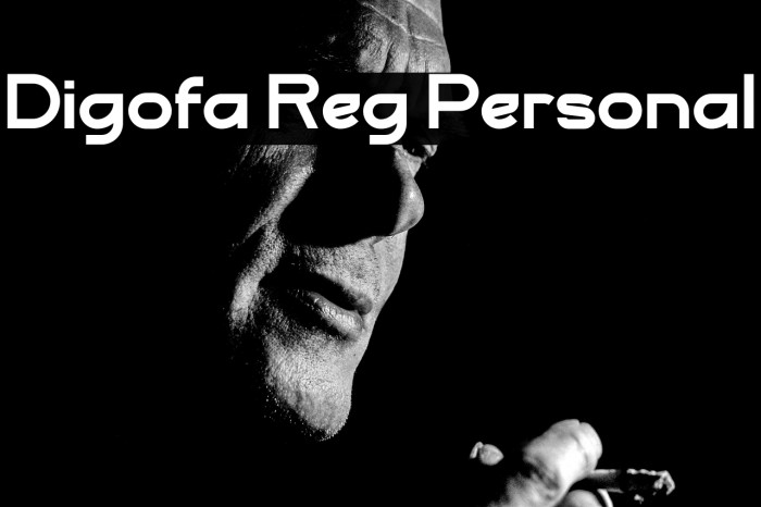 Digofa Reg Personal Example 1