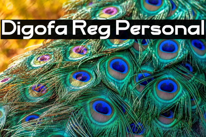Digofa Reg Personal Example 3