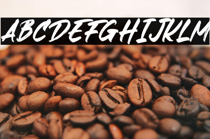 Digofetto Italic Example 2