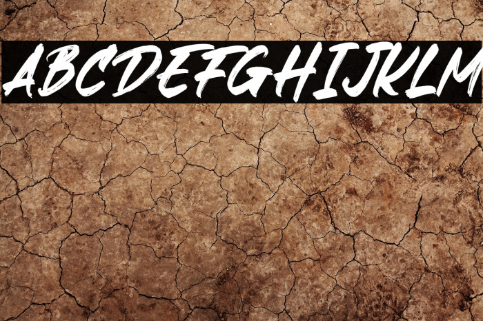 Digofetto Italic Example 3