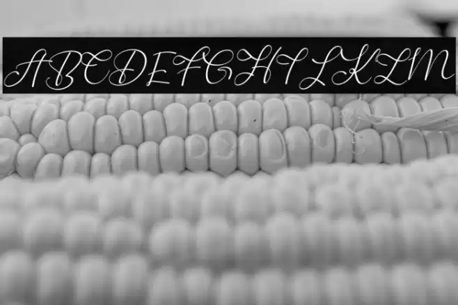 Digress Font examples