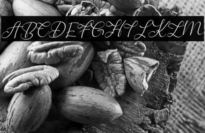 Digress Font examples