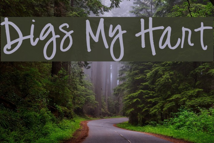 Digs My Hart Example 2