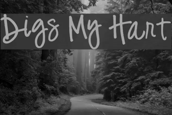 Digs My Hart Font examples