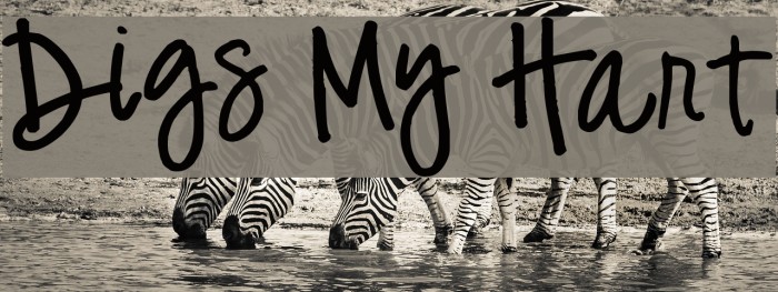 Digs My Hart Example 3