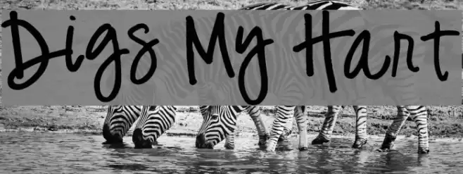 Digs My Hart Font examples