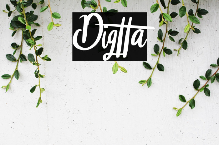 Digtta Example 1