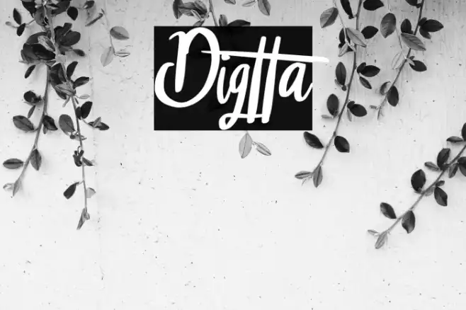 Digtta Example 1
