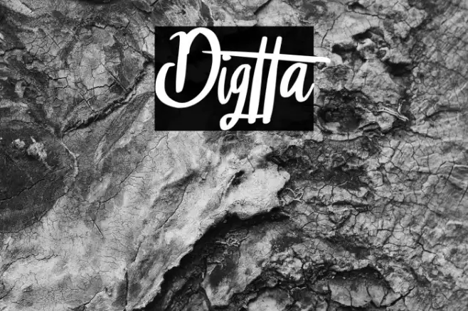Digtta Example 2