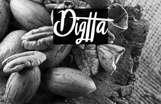 Digtta Example 3