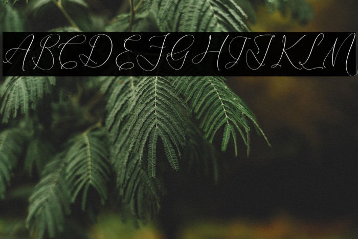 Dihatimela Adamelri Example 1