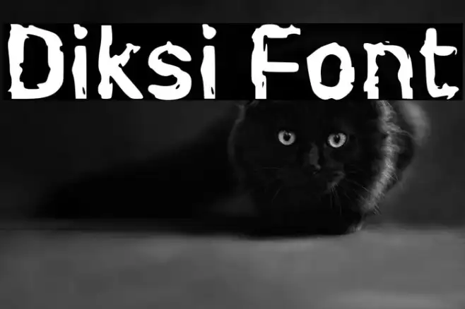 Diksi Example 3