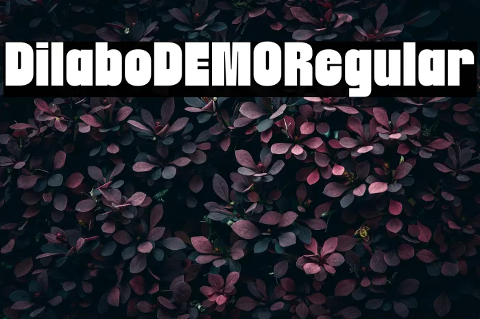 Dilabo DEMO Regular Example 1
