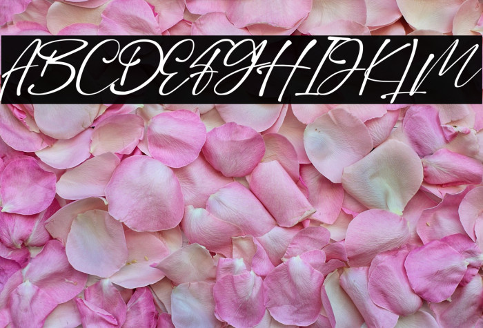 Dilan Script Example 1