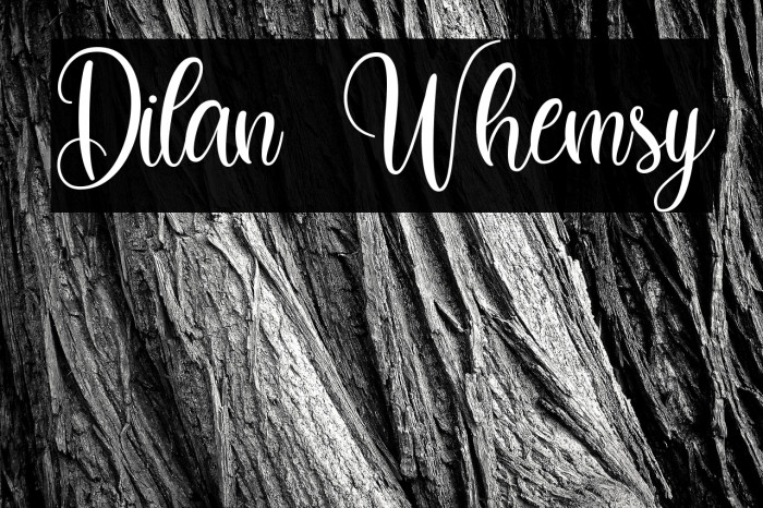 Dilan Whemsy Example 1