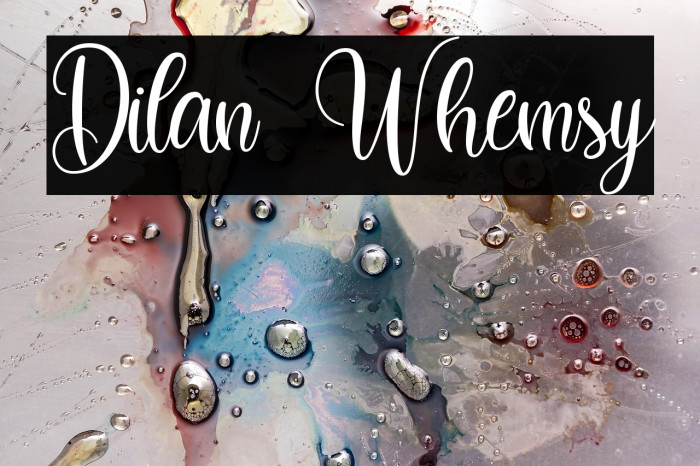 Dilan Whemsy Example 3