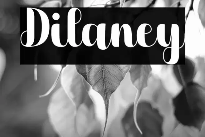 Dilaney Font examples