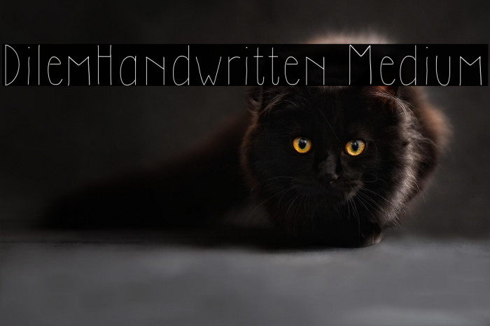 DilemHandwritten Medium Example 1