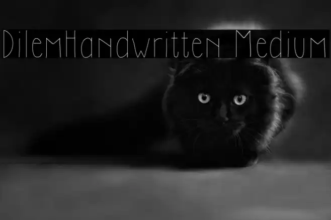 DilemHandwritten Medium Font examples