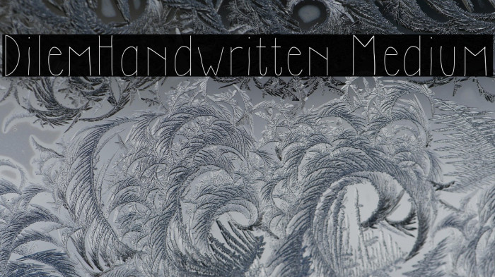 DilemHandwritten Medium Example 3