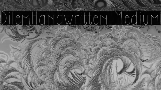 DilemHandwritten Medium Font examples