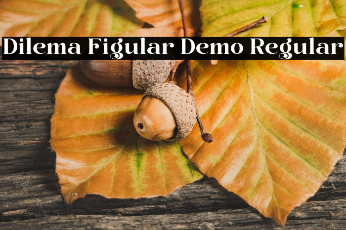 Dilema Figular Demo Regular خط examples