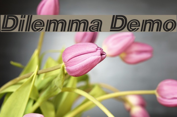 Dilemma Demo Example 1
